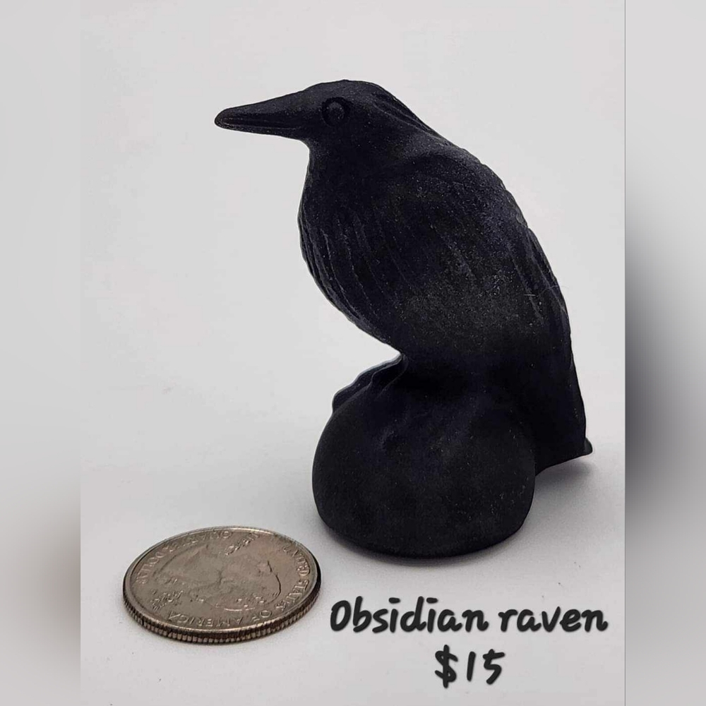 Obsidian  Raven